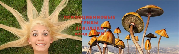 соль ск Дмитровск