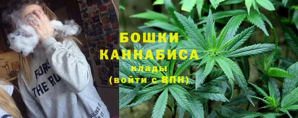 соль ск Дмитровск