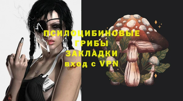 соль ск Дмитровск