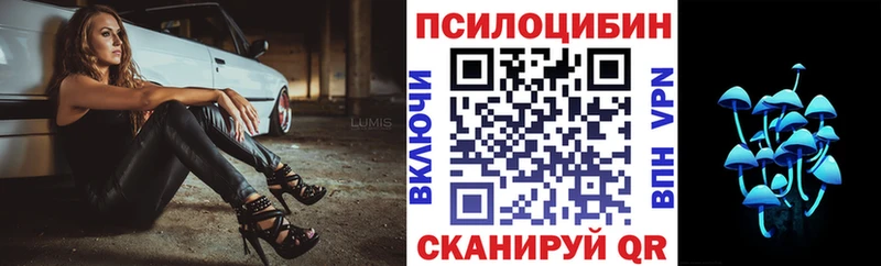 Галлюциногенные грибы Psilocybine cubensis  Любим 